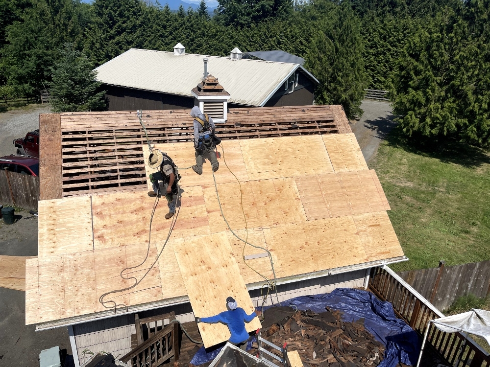 Roof Repair and Maintenance